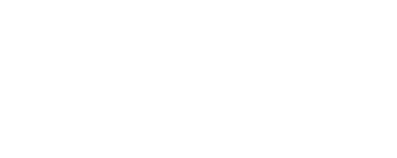 Madrid Borde Sur